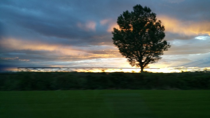moving image