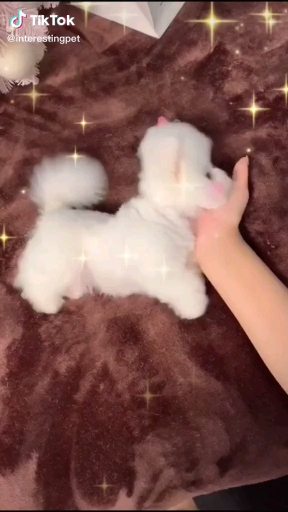 ??♥