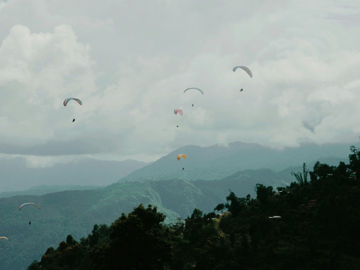 paragliders