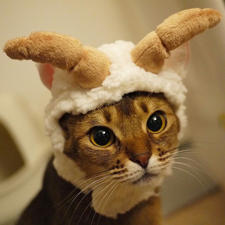cute funny