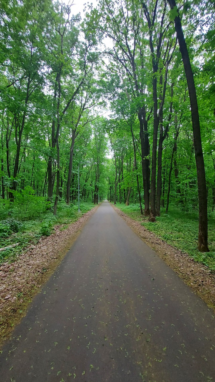 walk to home