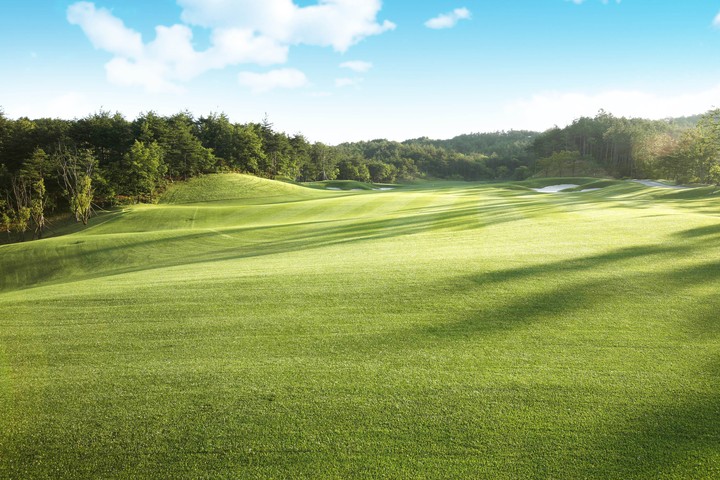 Golf Course