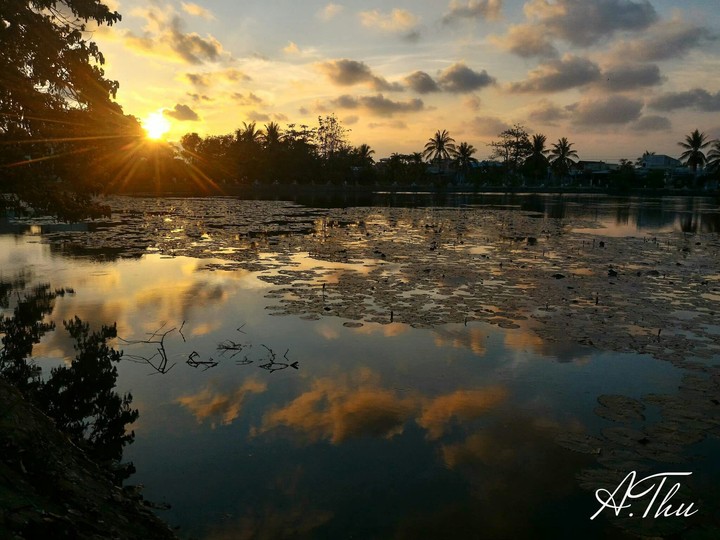my sunset