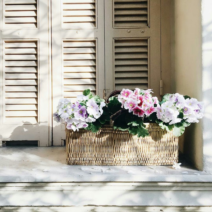 wicker