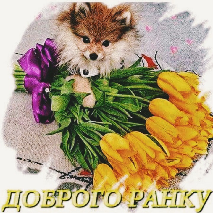 квітень улюблений цвітовий місяць на землі.