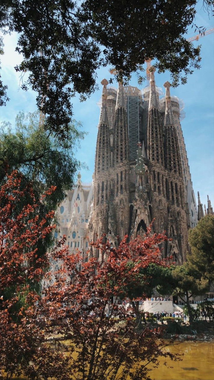 Barsa