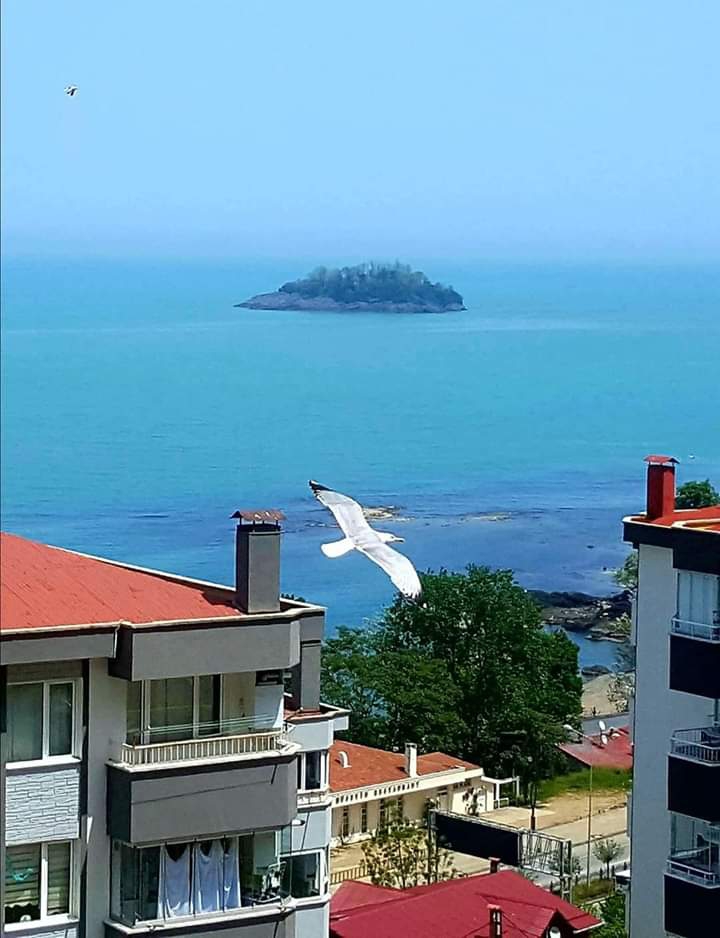 Turkey / Ordu