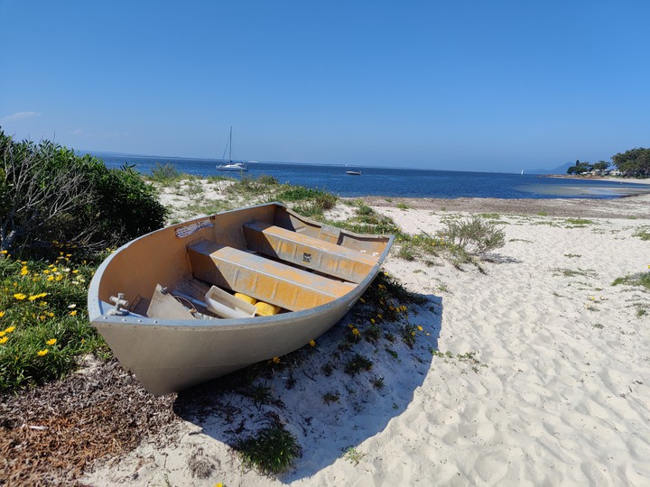 Life is like a boat in sea?⛵