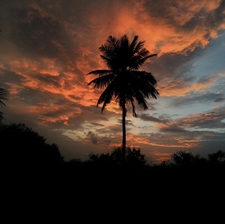 Red clouds