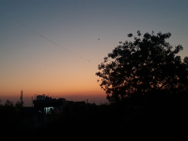sunset