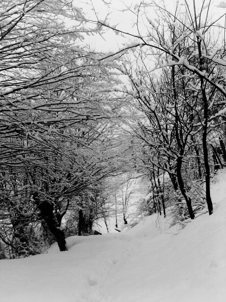 aaww.. winter