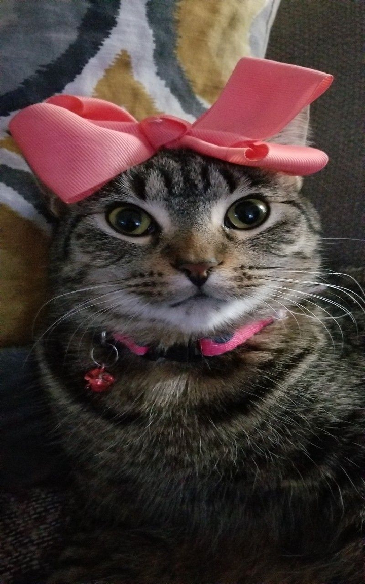 Rosy.?
