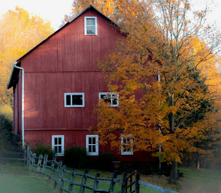 Autumn on the farm