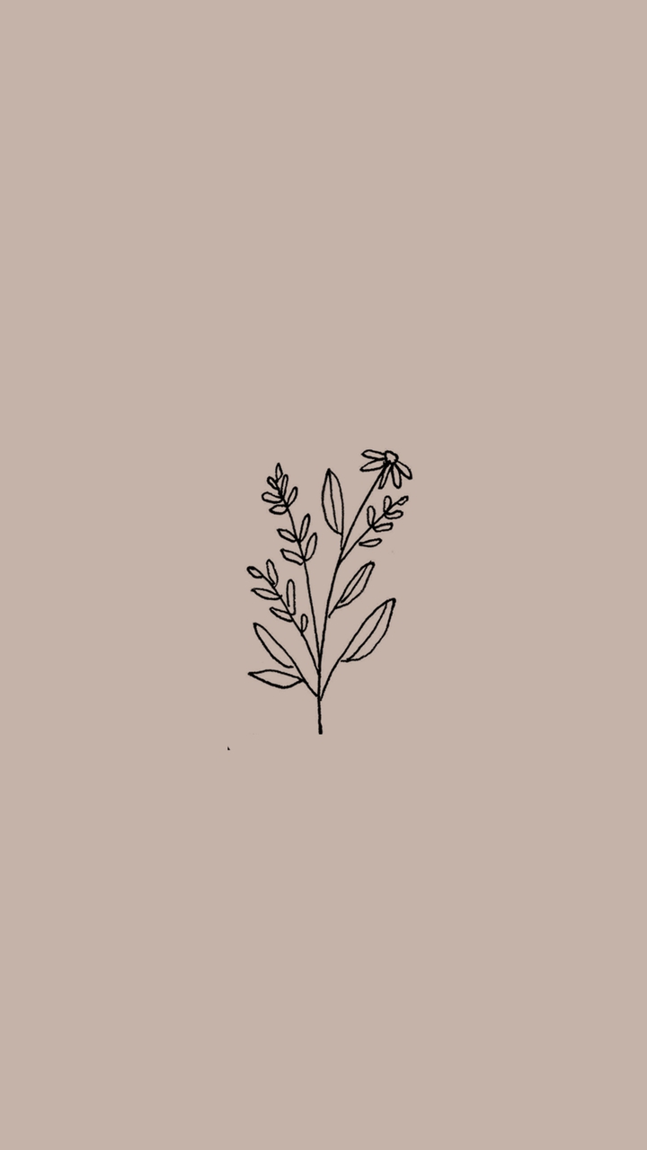 wallpaper