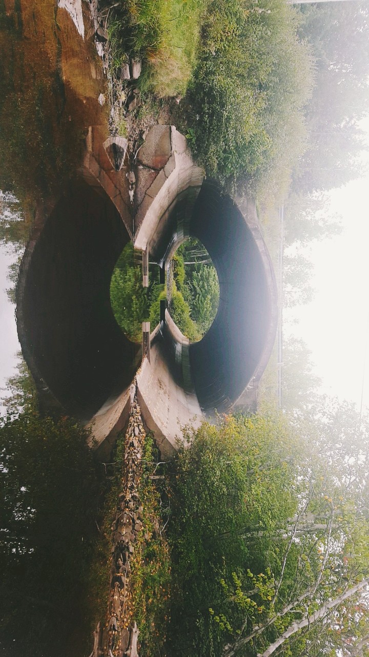 bridge