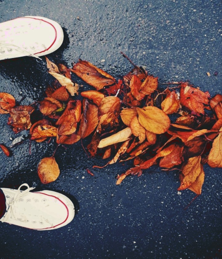 Autumn