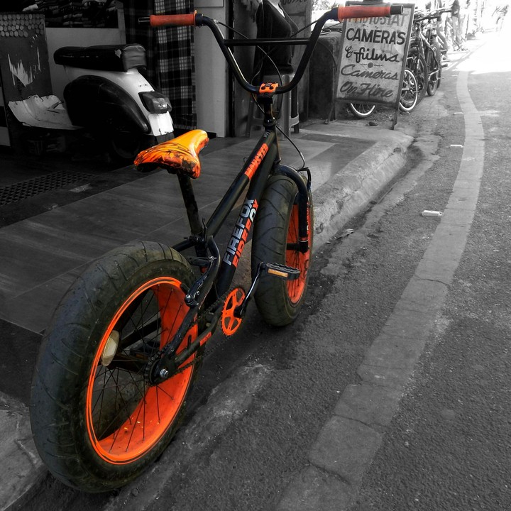 The monster bike