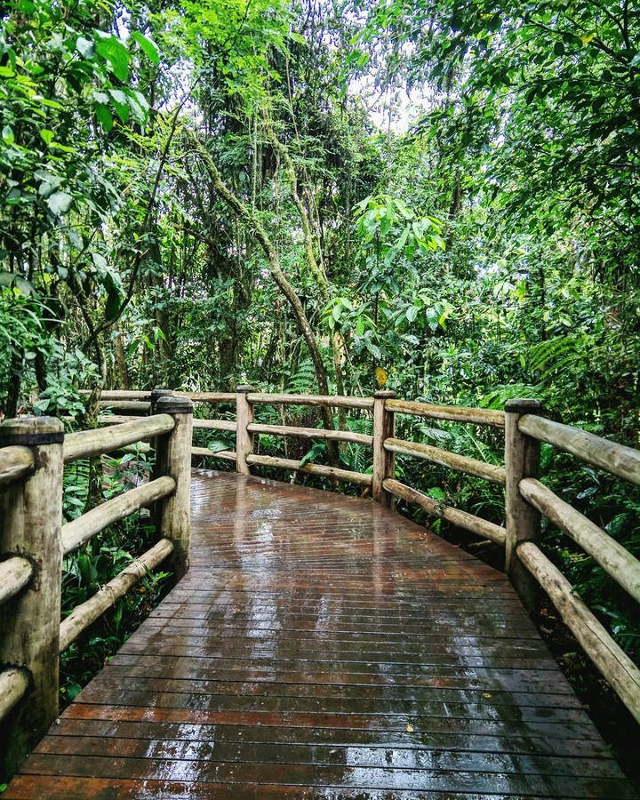 Nature