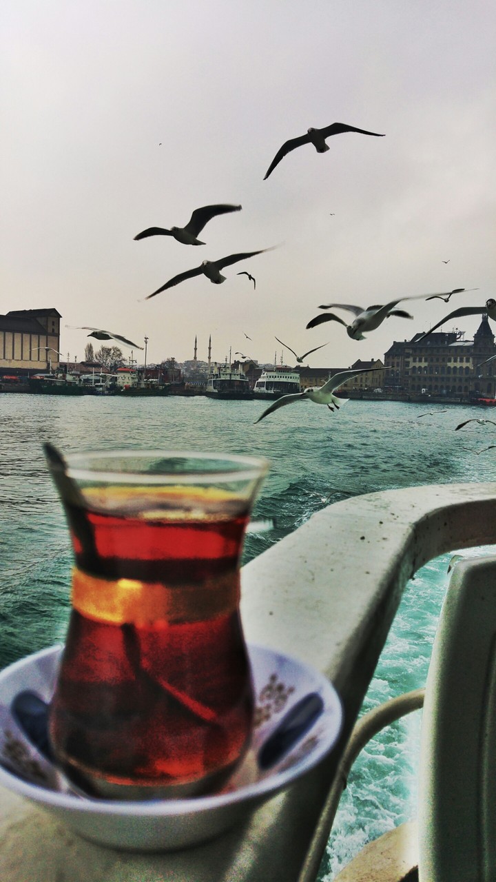 çay, martı, haydarpaşa, vapur, yağmur..