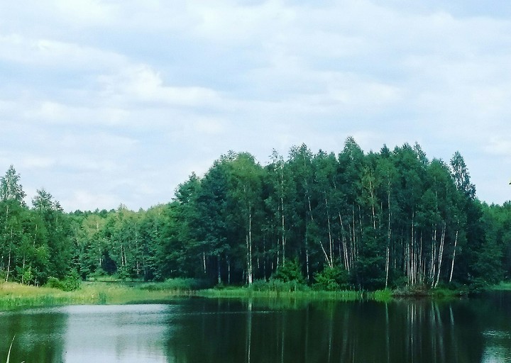 Environment of nature