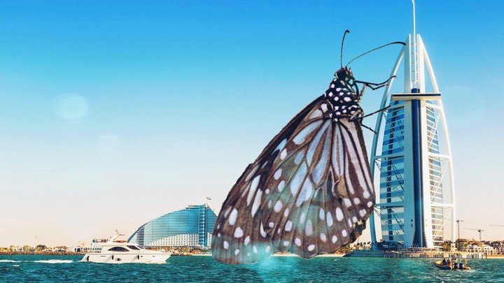 Butterfly On Burj