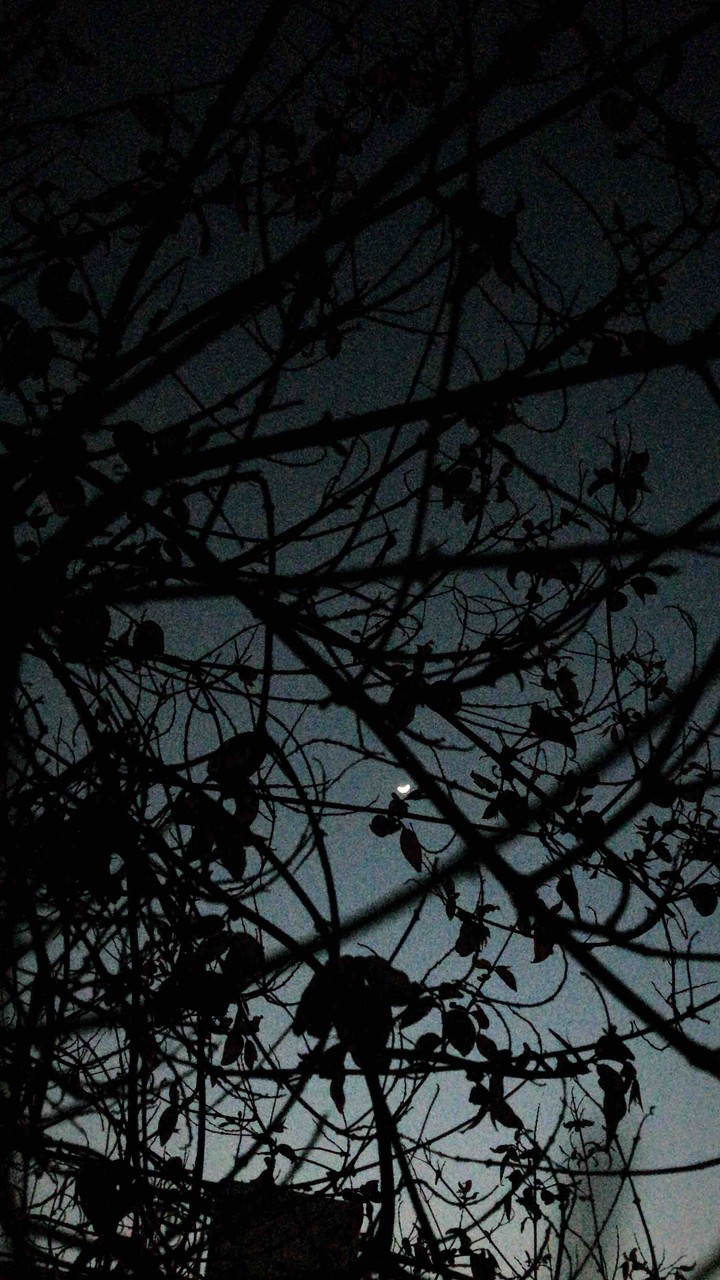 dark