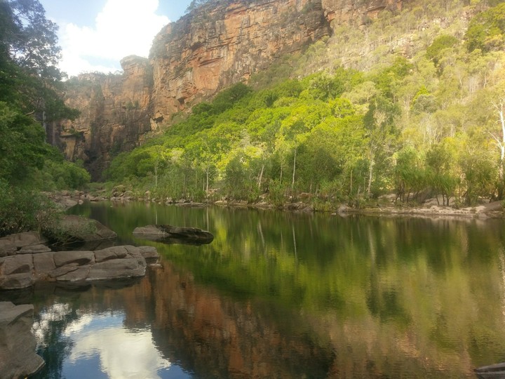 kakadu dreaming