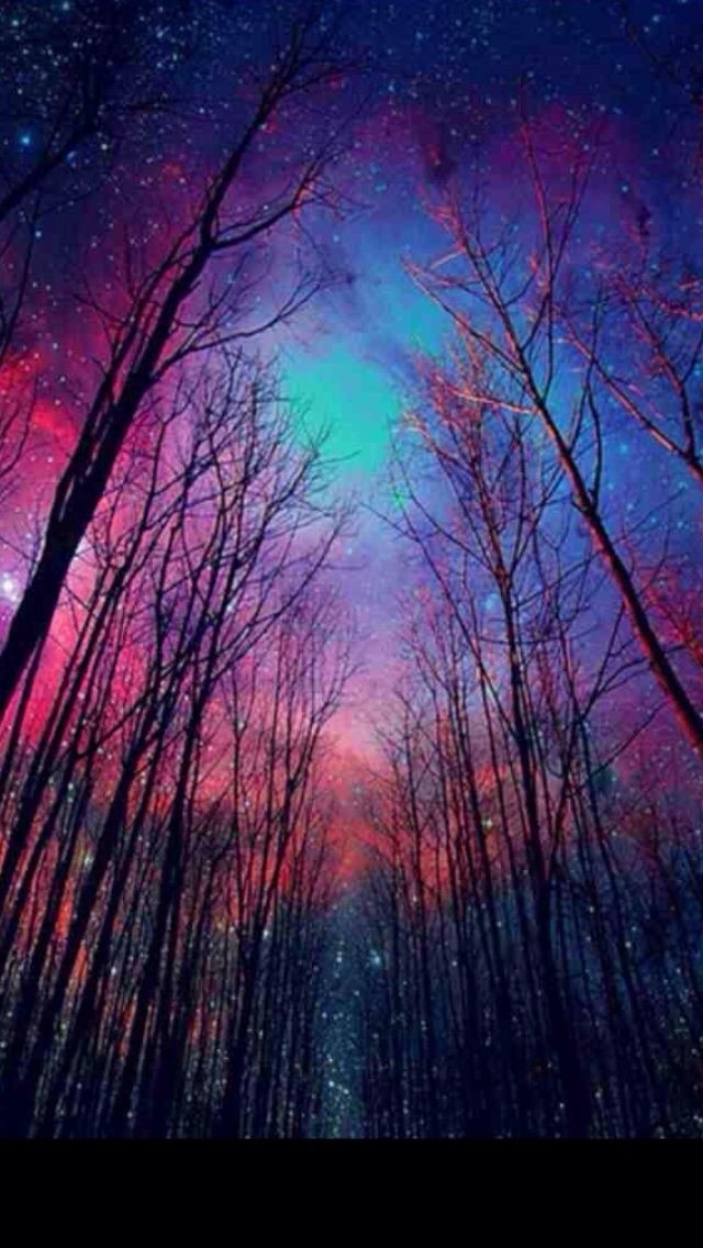 Night Sight