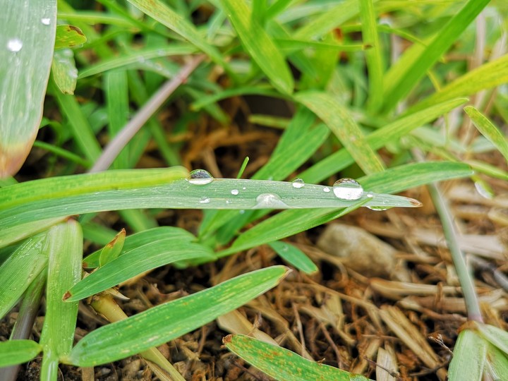 nature