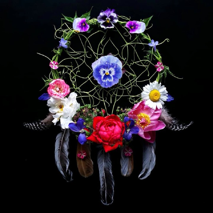 Dreamcatcher