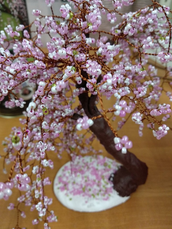 Sakura tree