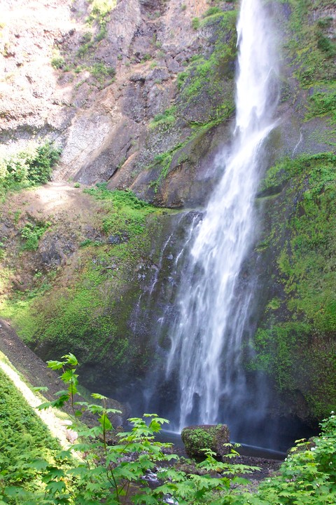 Lower Multnomah Falls 3