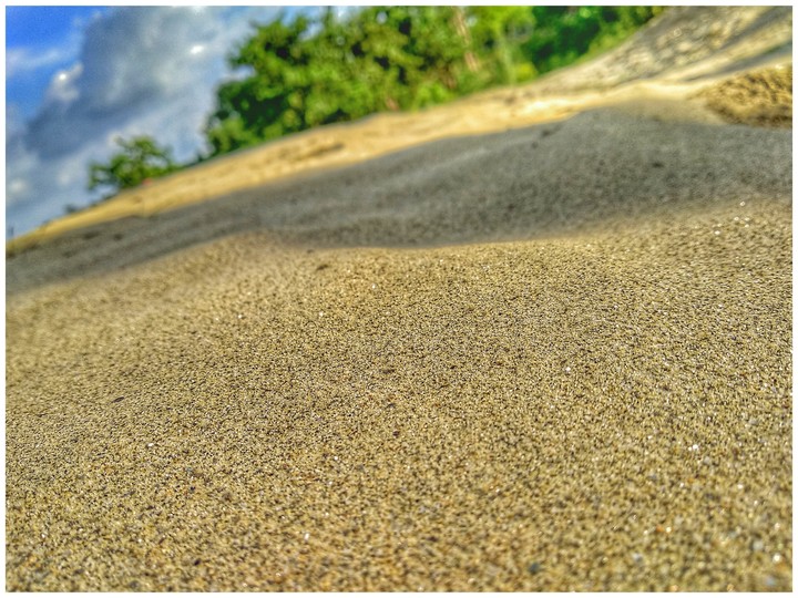 India nature photography