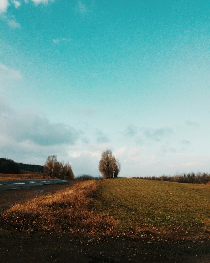 nature