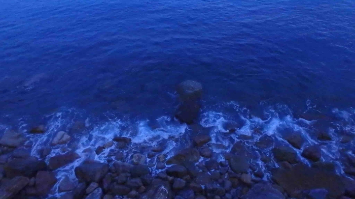 바다