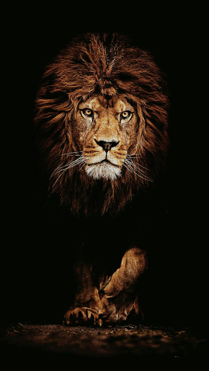 awesome