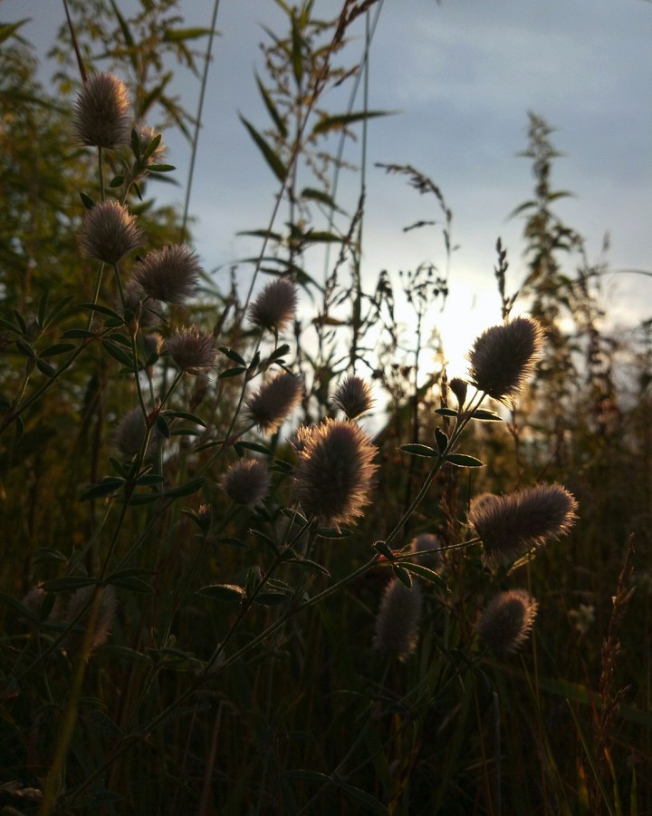 summertime