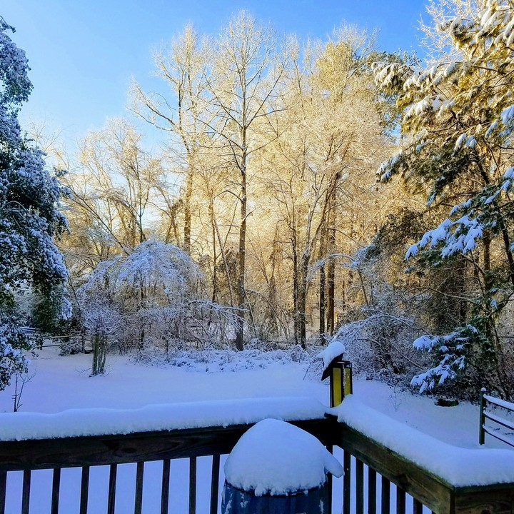 Winter Wonderland