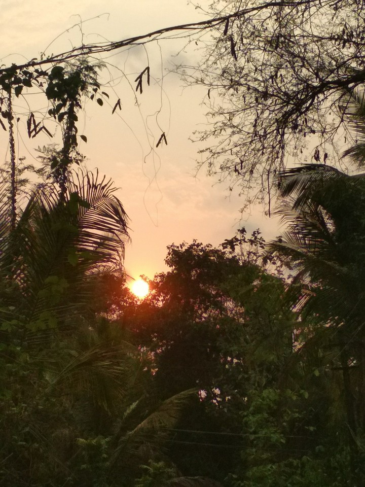 sunset
