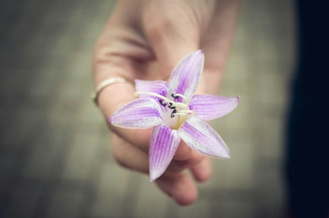 tenderness