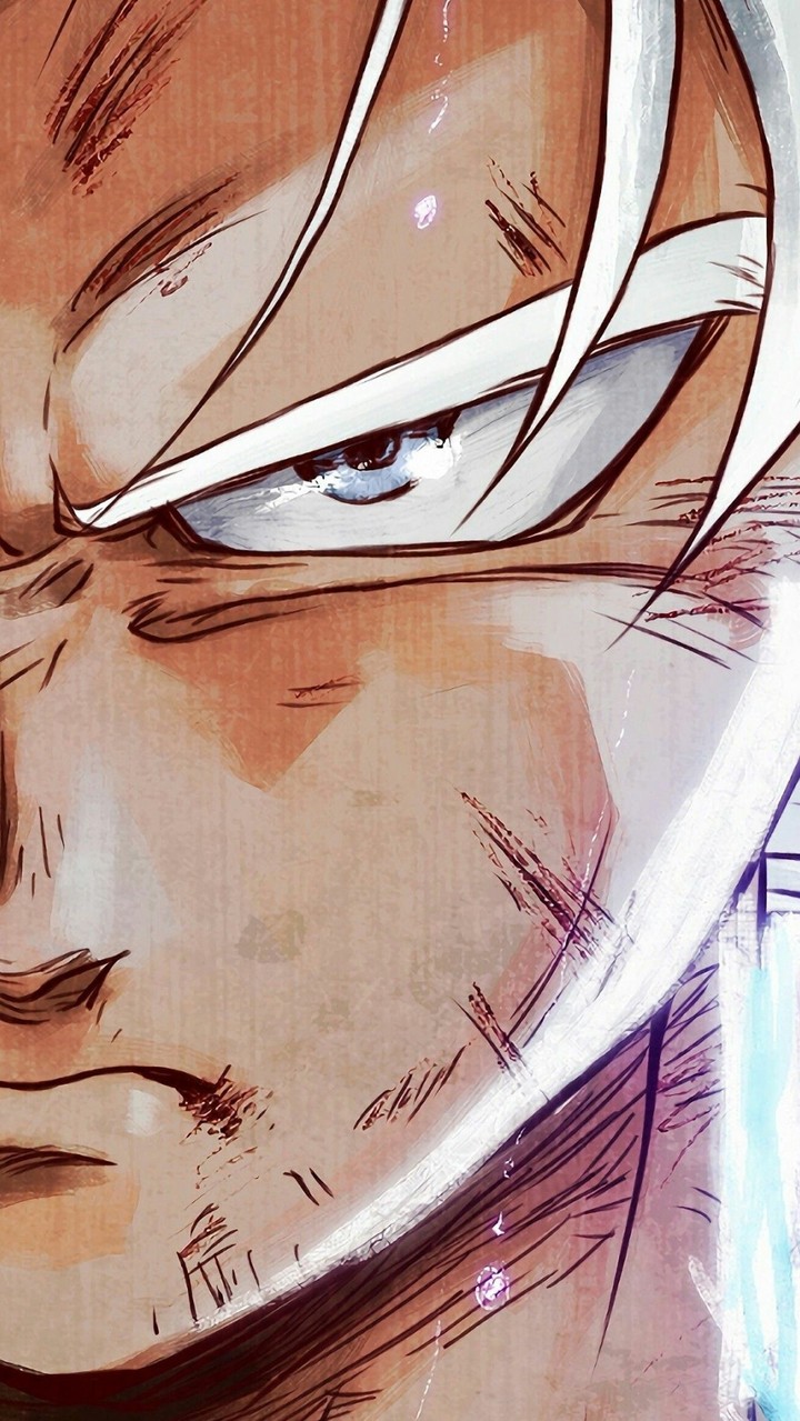 ultra instinct Goku