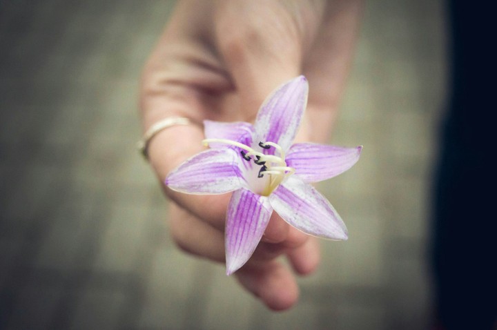 tenderness