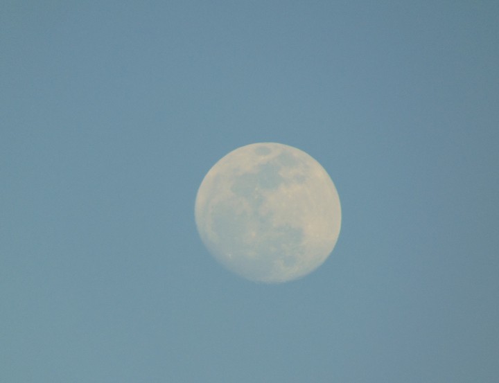 moon in the sky...