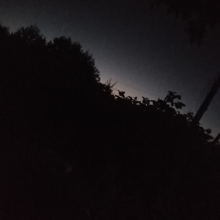 Night
