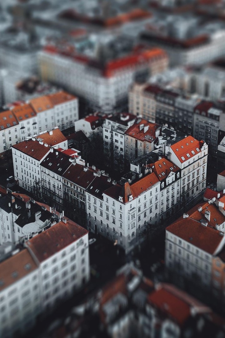 bird eye