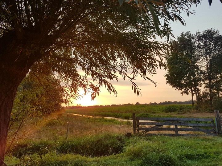 sunset in the evening