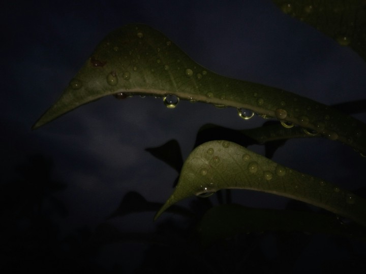 rain