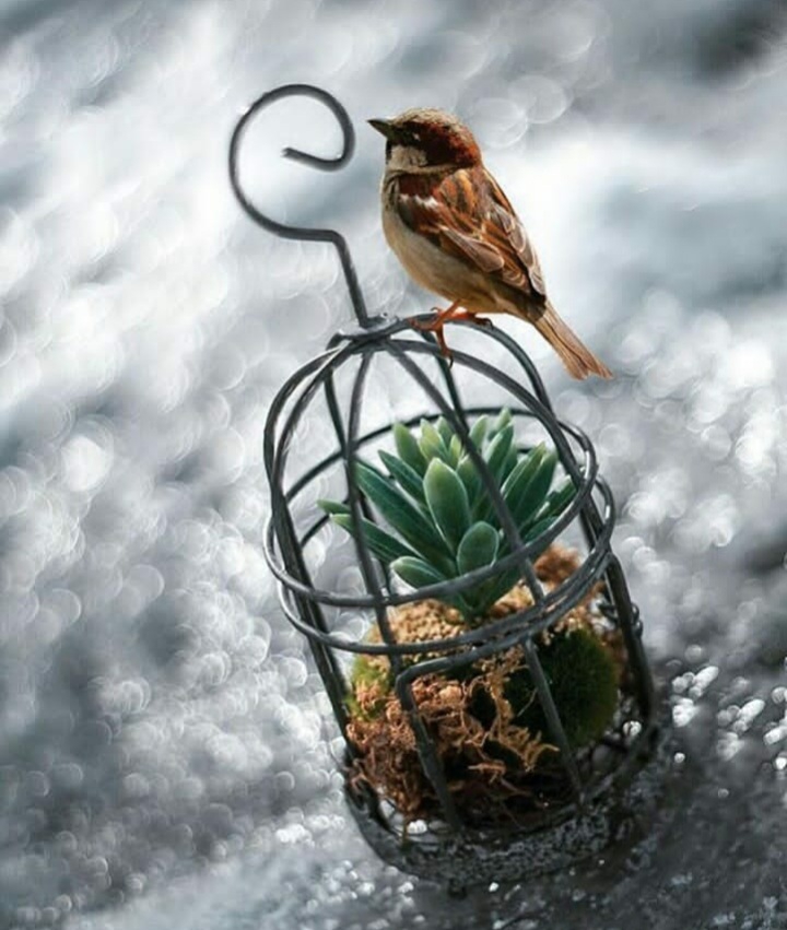 ♡♡