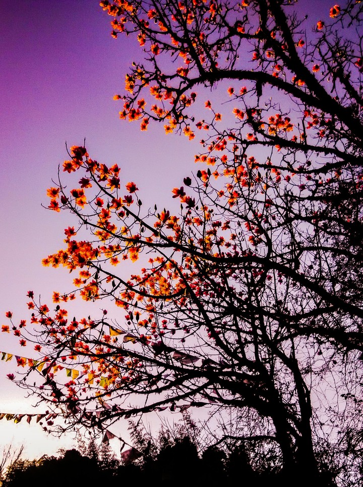 find peace,in rush..