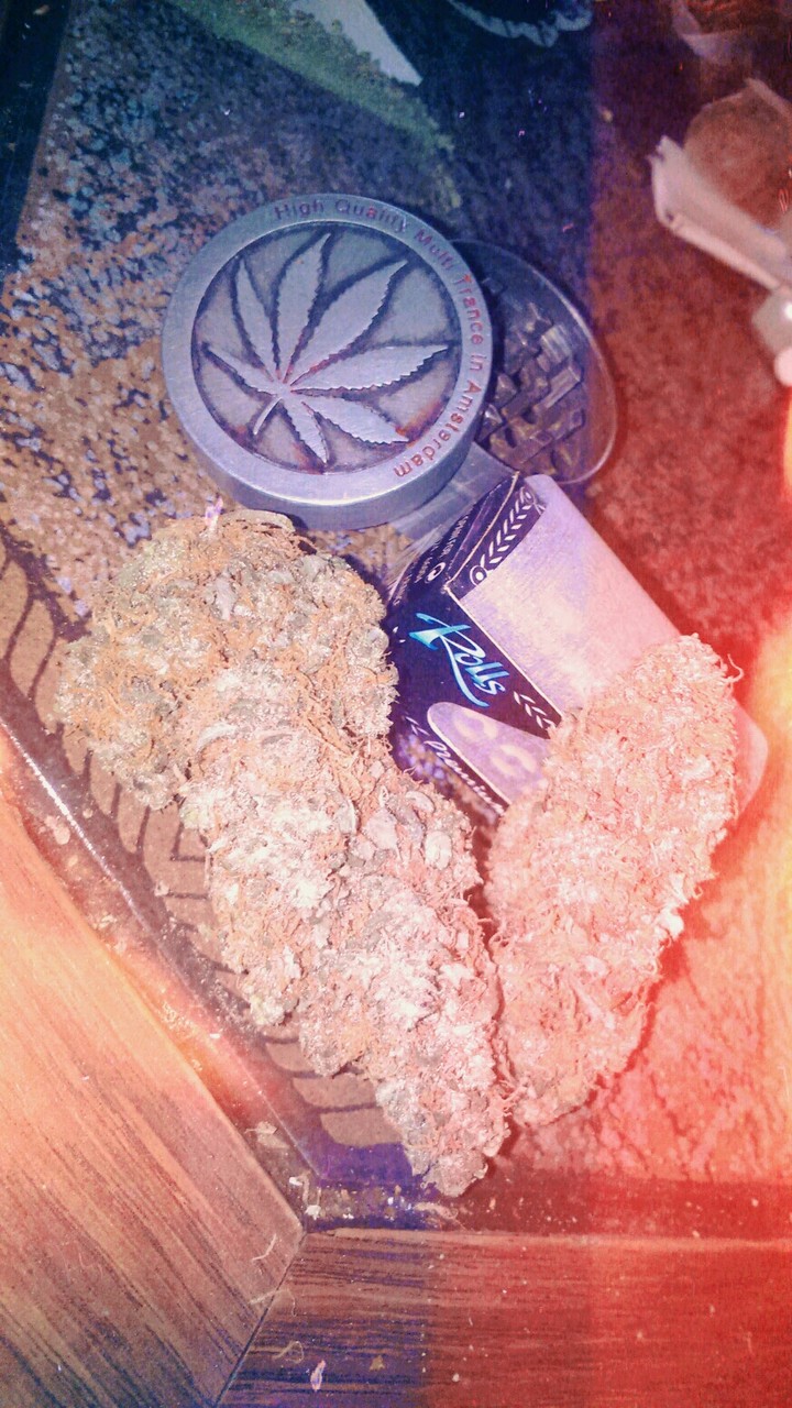 Nugs